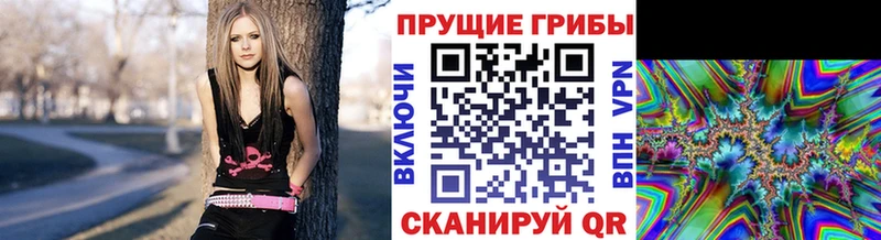 Псилоцибиновые грибы ЛСД  Архангельск 