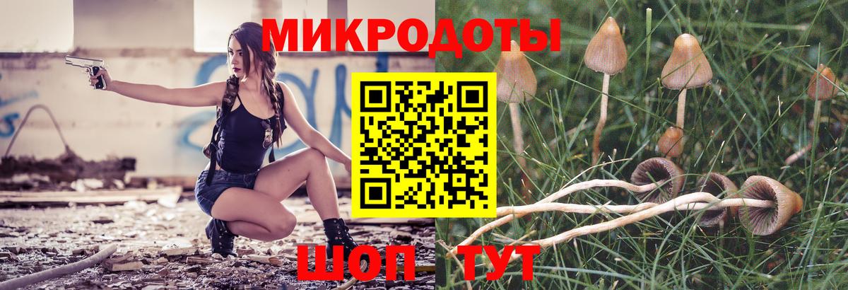 Псилоцибиновые грибы Magic Shrooms Архангельск